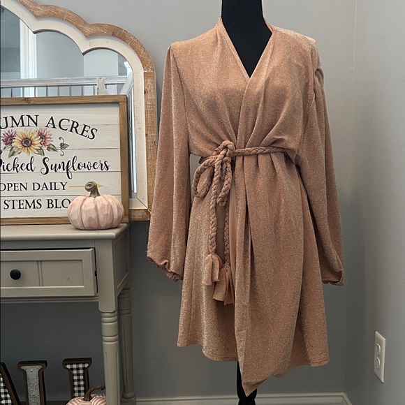 Storia Shimmering rose Dress - Picture 1 of 7